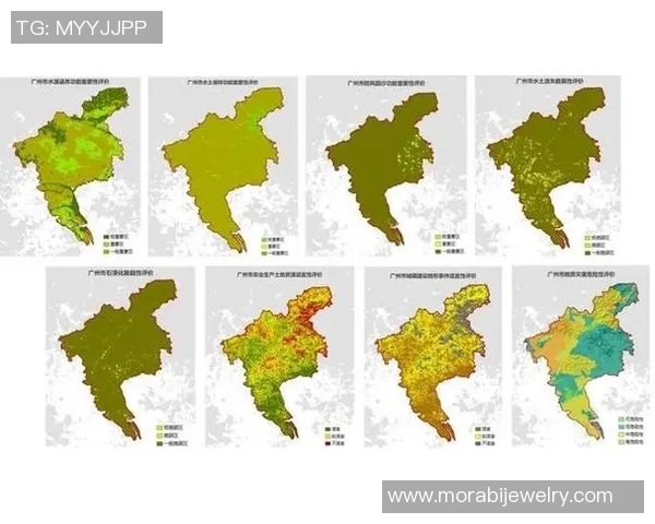 武汉足球队在全国锦标赛中的技术表现分析与点评 武汉足球队在全国锦标赛中的技术表现分析与点评