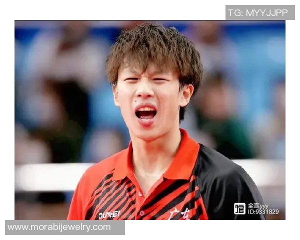 南京乒乓球队在世界锦标赛中的团队协作表现分析与点评