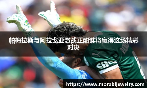 帕梅拉斯与阿拉戈亚激战正酣谁将赢得这场精彩对决